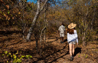 Guided walk to Baobab tree