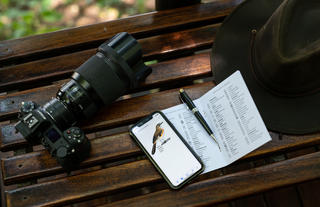 Ichingo Chobe River Lodge Birding