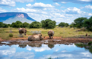 View of the waterhole from Explorers Camp