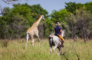 Mariaan and Giraffe