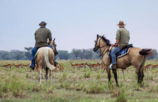 Rides and Wildlife