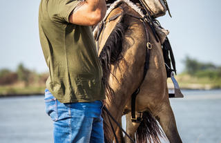 Rides and Wildlife