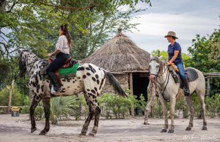 Rides and Wildlife