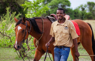 Rides and Wildlife