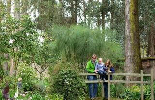 Perennial Gardens