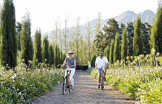 Cycle into town