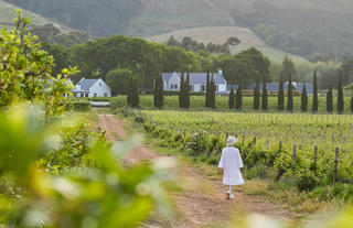 Stroll the La Clé vineyards