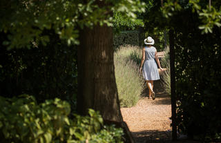 Explore the gardens and grounds