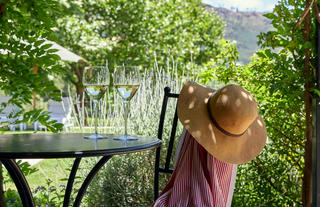 Wine under pergola