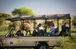 Game drives 