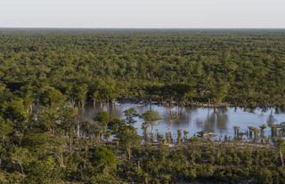 Elephant Pan Aerial View