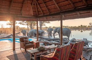 Elephants at Elephant Pan