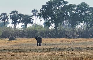 Game viewing Drive