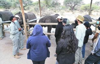Elephant sanctuary