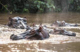 Volcanoes Safaris