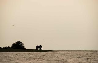 Volcanoes Safaris