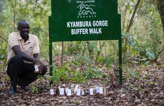 Kyambura Gorge Lodge