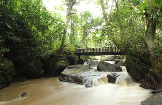 Kyambura Gorge Lodge