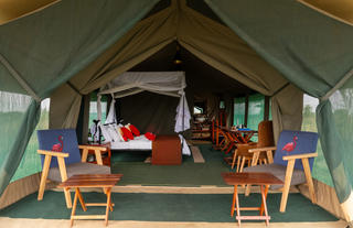 Guest Tent