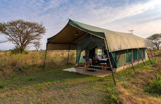 Guest Tent