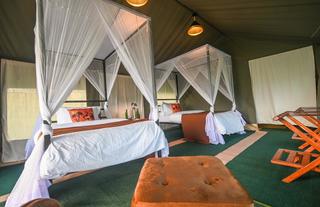 Guest Tent