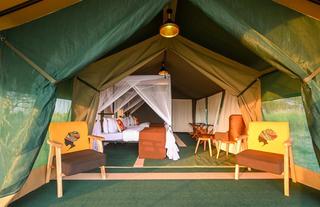 Guest Tent