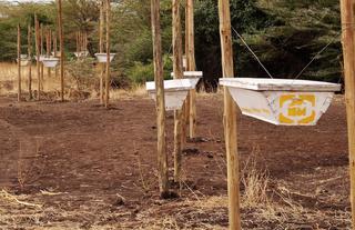 Shu'mata Camp Activity