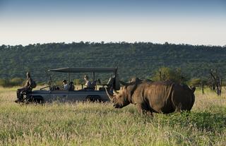 Morukuru Family Madikwe - game drive with rhino