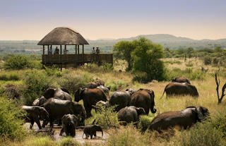 Morukuru Family Madikwe - Hide