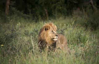 Morukuru Family Madikwe