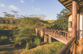 The Emakoko