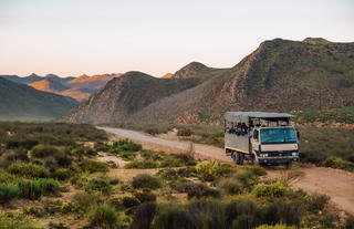 Safari