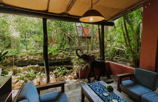 Guest lounge