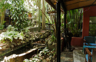 Guest lounge garden