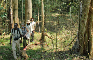 Rubondo Island Camp - Forest walks with a guide