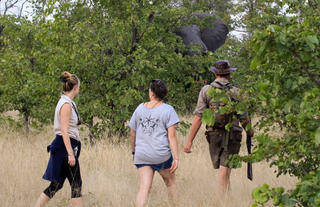 Game walk