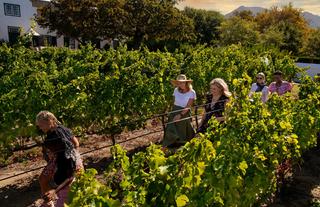 Steenberg Hotel & Spa