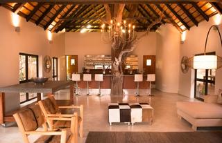 Lounge/Bar