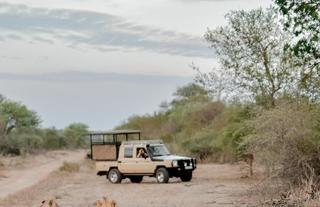Safari Game drive