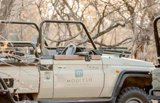 Safari Game drive