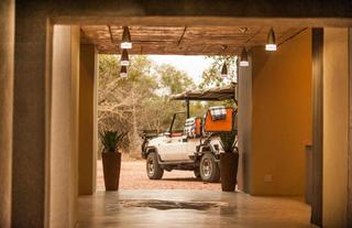 Safari Game drive