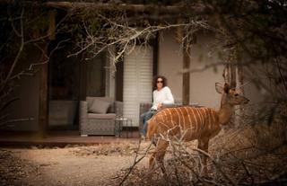 Wild animals