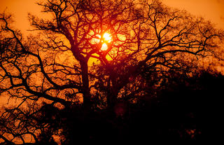 Stunning Sunset