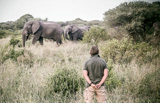 Walking Safaris 
