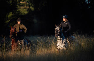 Chundukwa Horse Trails