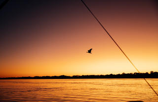 Chundukwa River Cruise