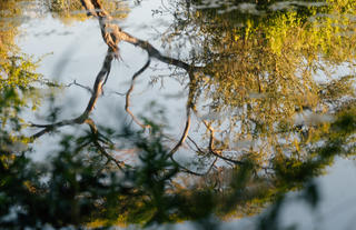A Nature Stay