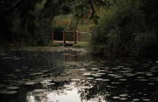 A Nature Stay