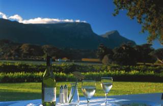 View from Restaurant
