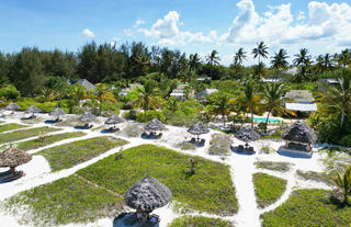 Beach Umbrellas